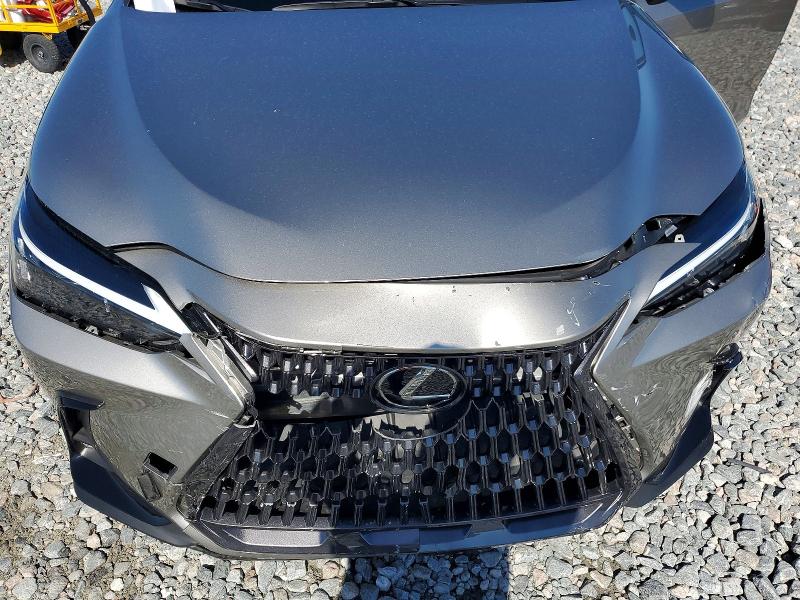 Aukcja sprzedaży 2025 Lexus Nx 250, vin: 2T2ADCAZ1SC030426, numer aukcji: 67025746