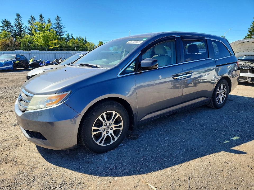 66719866 :رقم المزاد ، 5FNRL5H43DB502589 vin ، 2013 Honda Odyssey مزاد بيع