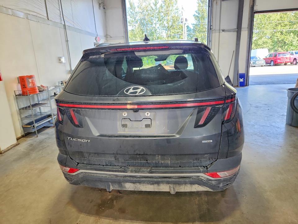 66251136 :رقم المزاد ، 5NMJFCDE8RH364108 vin ، 2024 Hyundai Tucson مزاد بيع