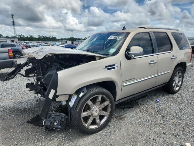 Продаж на аукціоні авто 2009 Cadillac Escalade, vin: 1GYFK23279R131331, номер лоту: 64263626
