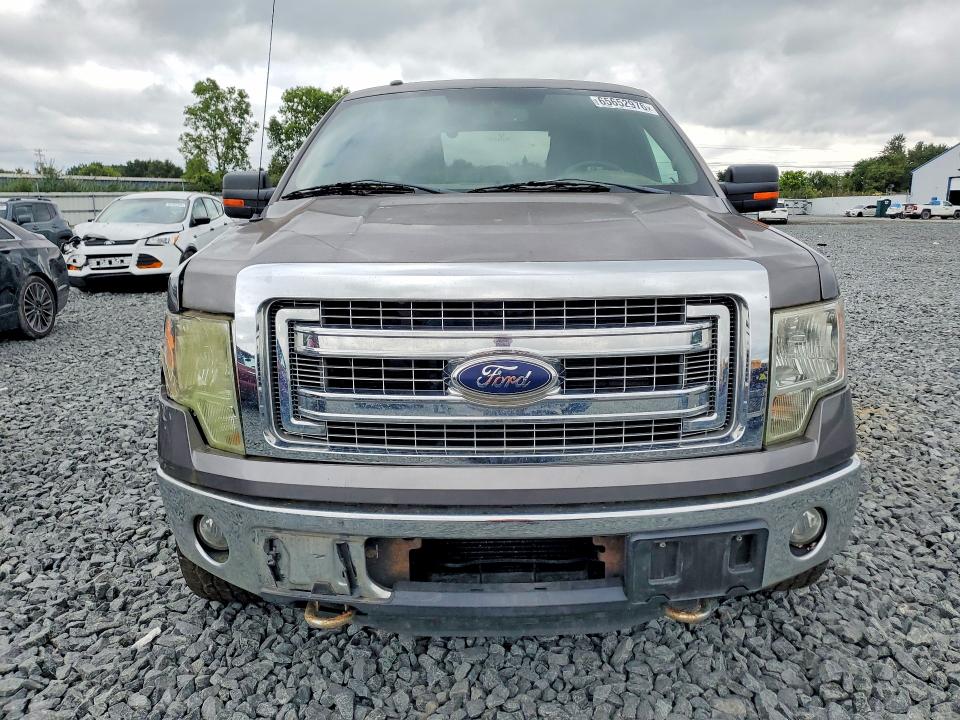 65652976 :رقم المزاد ، 1FTFX1ET8DFC93325 vin ، 2013 Ford F150 مزاد بيع
