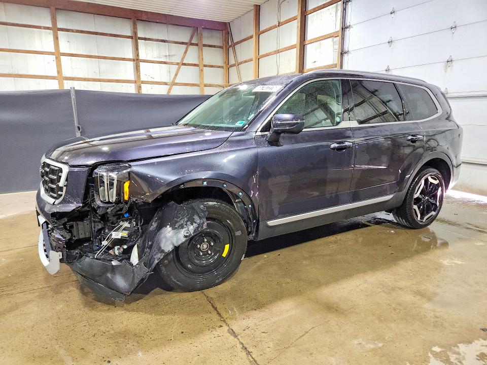 Продаж на аукціоні авто 2025 Kia Telluride, vin: 5XYP6DGC0SG682539, номер лоту: 66747276