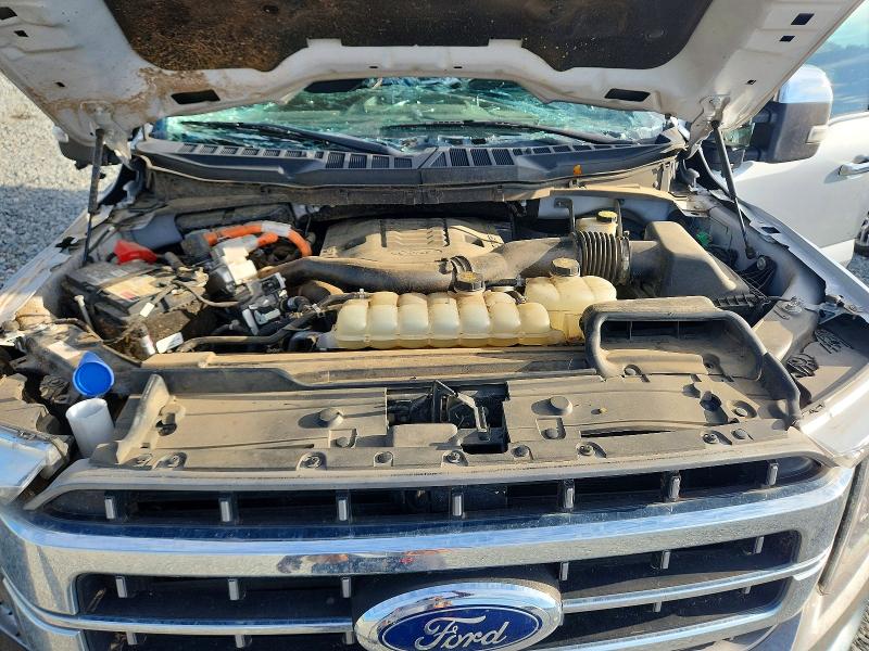 Продажа на аукционе авто 2021 Ford F150, vin: 1FTFW1ED5MFB99303, номер лота: 64023756