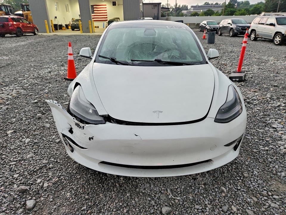 Auction sale of the 2021 Tesla Model 3, vin: 5YJ3E1EA1MF874581, lot number: 64610326