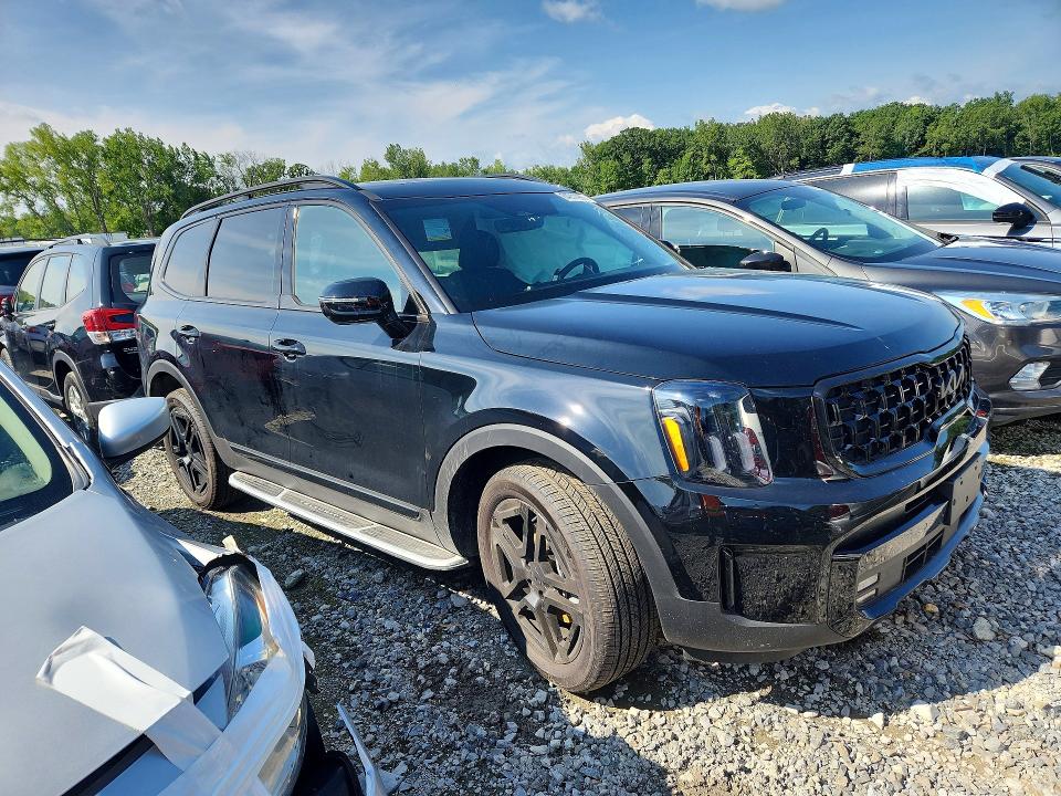 Aukcja sprzedaży 2025 Kia Telluride, vin: 5XYP5DGC7SG709383, numer aukcji: 64211286