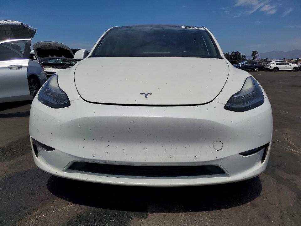 65036886 :رقم المزاد ، 5YJYGDEE8MF219225 vin ، 2021 Tesla Model Y مزاد بيع