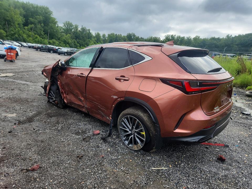 Продажа на аукционе авто 2025 Lexus Nx, vin: 2T2GGCEZ4SC066056, номер лота: 64581826
