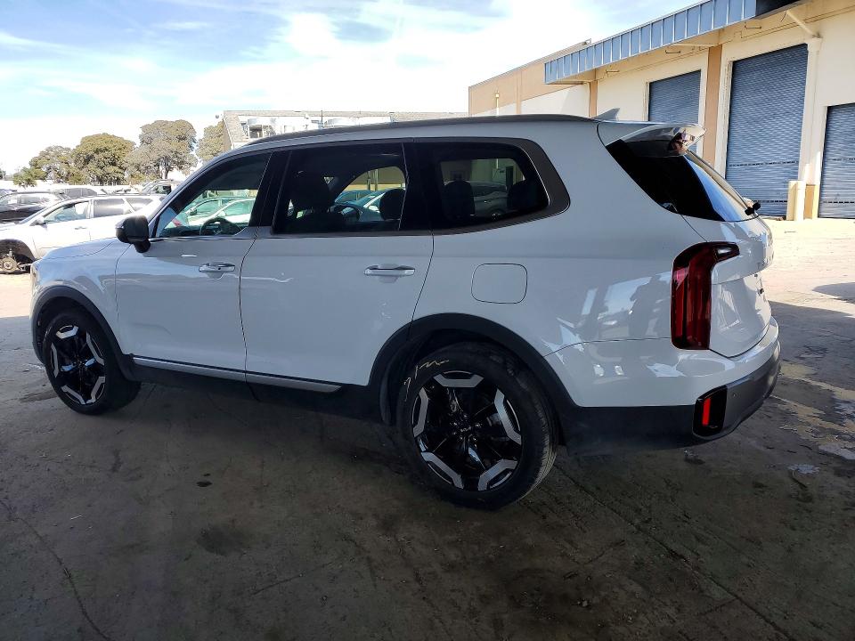 Продаж на аукціоні авто 2025 Kia Telluride, vin: 5XYP6DGC0SG652814, номер лоту: 69632686