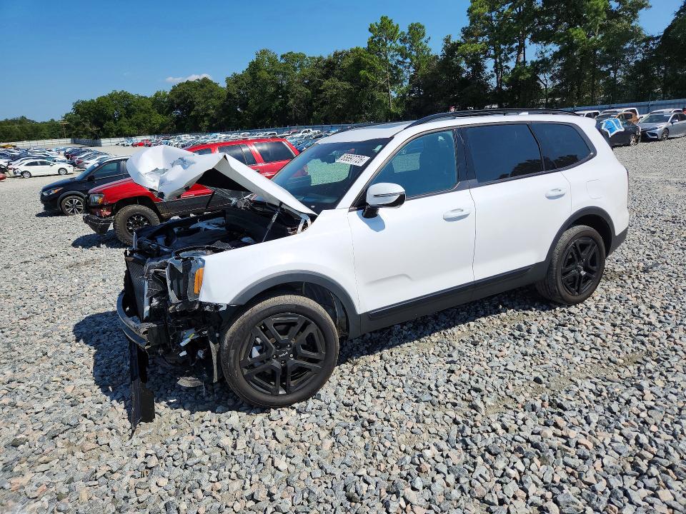 Aukcja sprzedaży 2024 Kia Telluride, vin: 5XYP5DGC6RG534649, numer aukcji: 65897726
