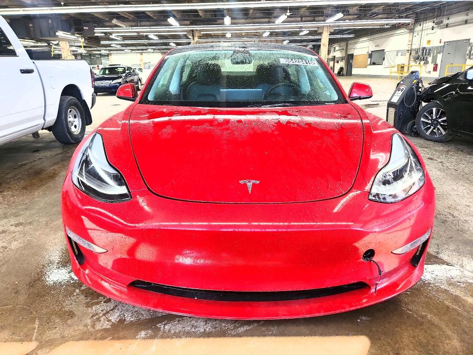 2023 Tesla Model 3 მანქანა იყიდება აუქციონზე, vin: 5YJ3E1EA2PF437015, აუქციონის ნომერი: 66425416