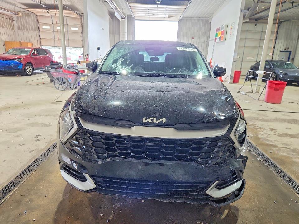 2023 Kia Sportage მანქანა იყიდება აუქციონზე, vin: 5XYK33AF9PG045429, აუქციონის ნომერი: 66915696