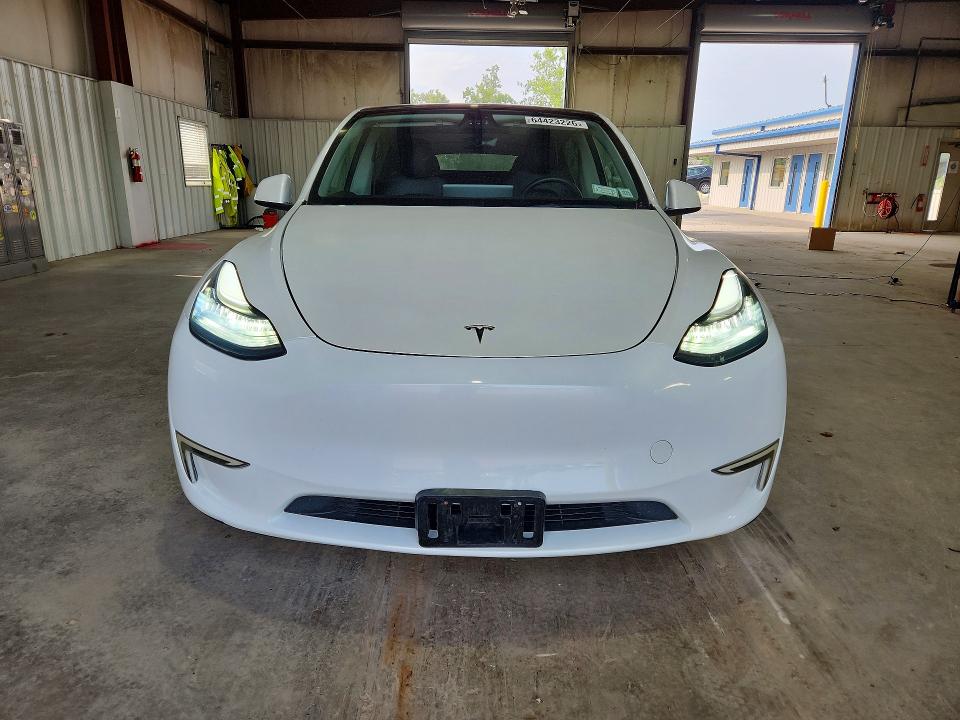2023 Tesla Model Y მანქანა იყიდება აუქციონზე, vin: 7SAYGDEE1PF611177, აუქციონის ნომერი: 64423226