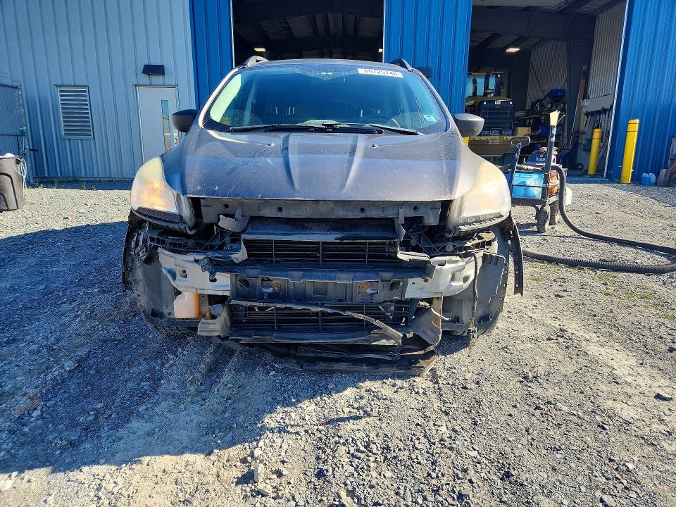 Aukcja sprzedaży 2014 Ford Escape, vin: 1FMCU0F72EUB66795, numer aukcji: 66725746