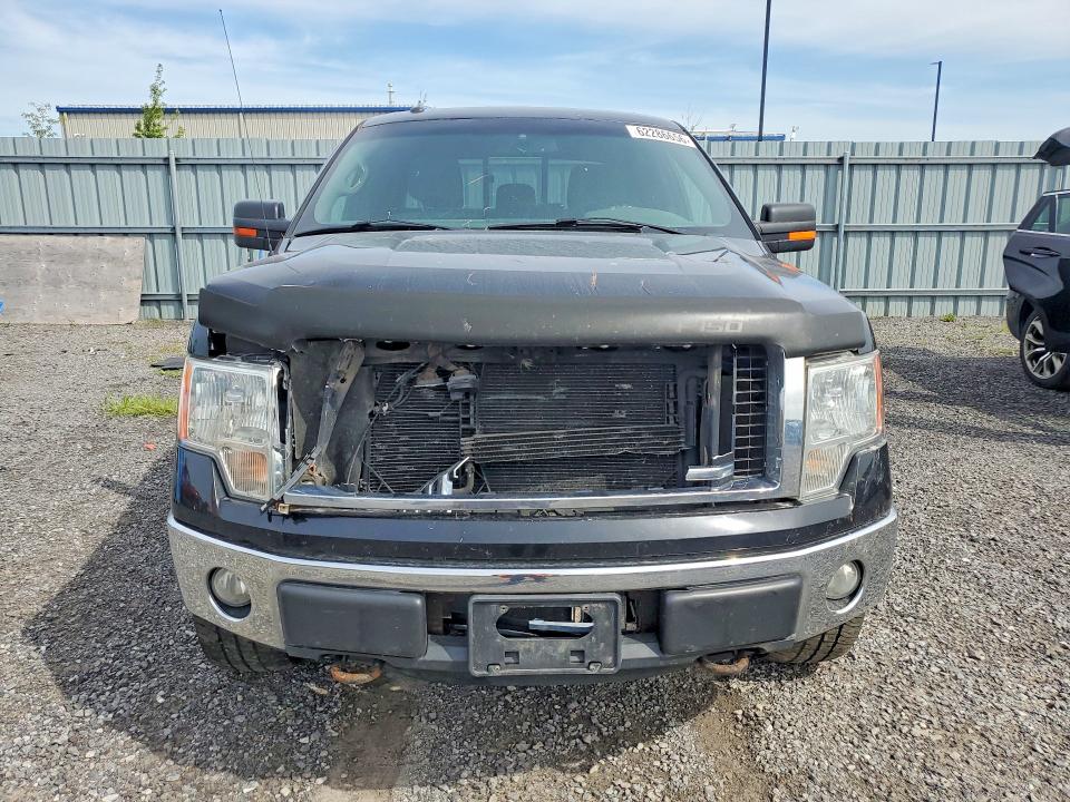 Продаж на аукціоні авто 2011 Ford F150, vin: 1FTFW1EFXBFC96852, номер лоту: 62286656