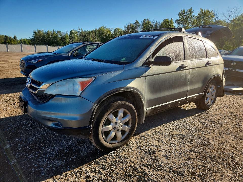 Aukcja sprzedaży 2010 Honda Cr-v, vin: 5J6RE3H3XAL800632, numer aukcji: 66776516