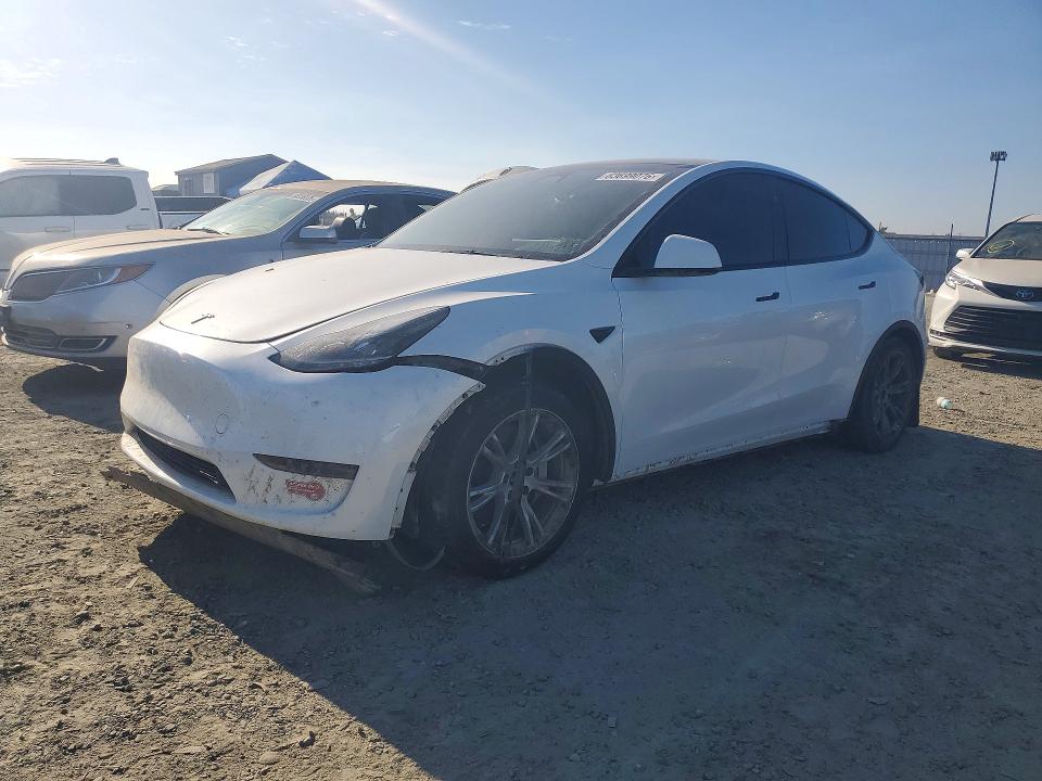 Продаж на аукціоні авто 2024 Tesla Model Y, vin: 7SAYGDEE4RA250270, номер лоту: 63699076