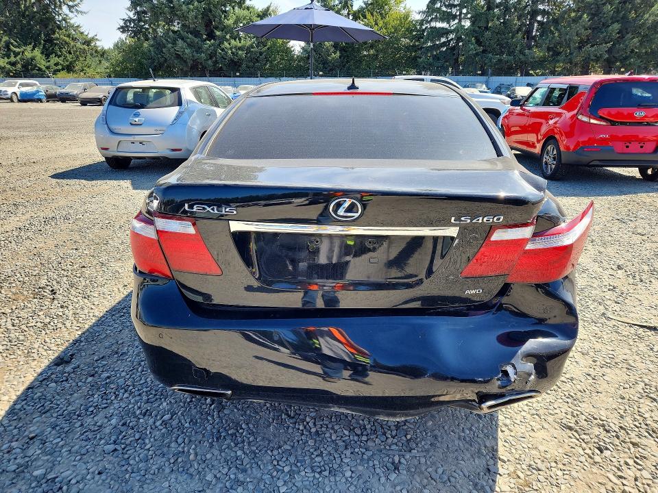 65653186 :رقم المزاد ، JTHCL46F595002414 vin ، 2009 Lexus Ls مزاد بيع