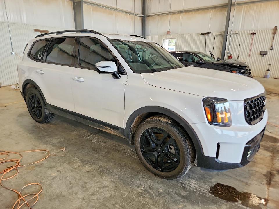 Aukcja sprzedaży 2024 Kia Telluride, vin: 5XYP5DGC7RG501966, numer aukcji: 64208126