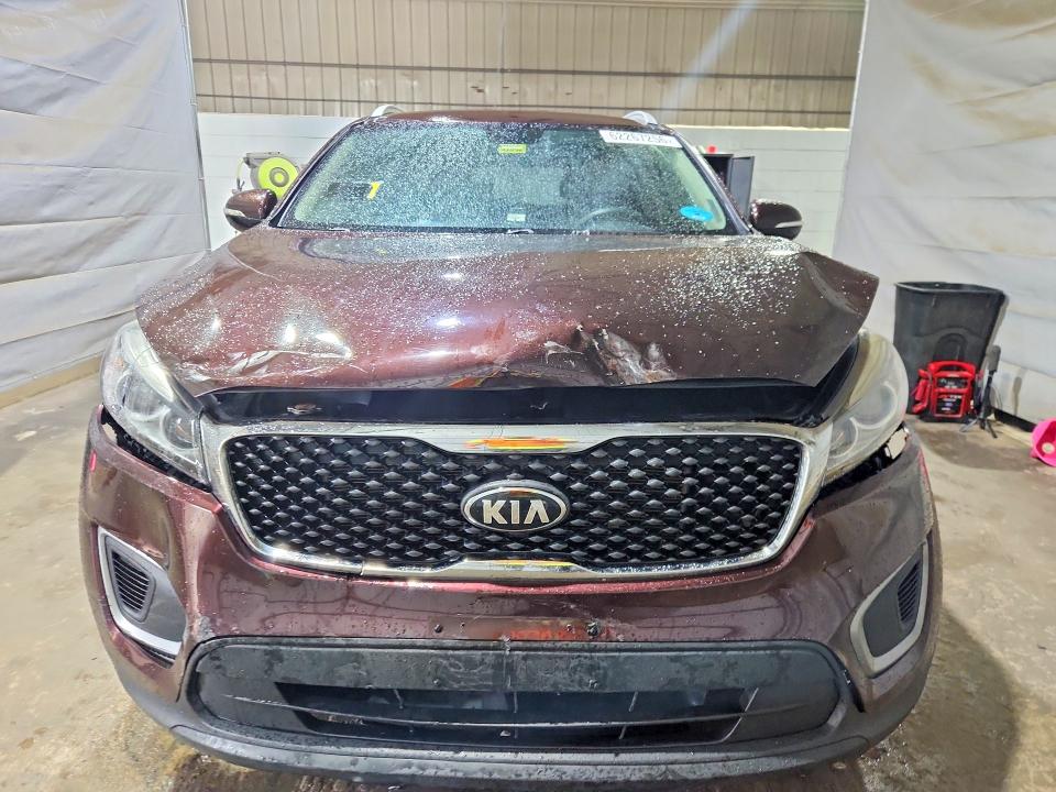 Продаж на аукціоні авто 2016 Kia Sorento, vin: 5XYPGDA56GG003369, номер лоту: 62267256