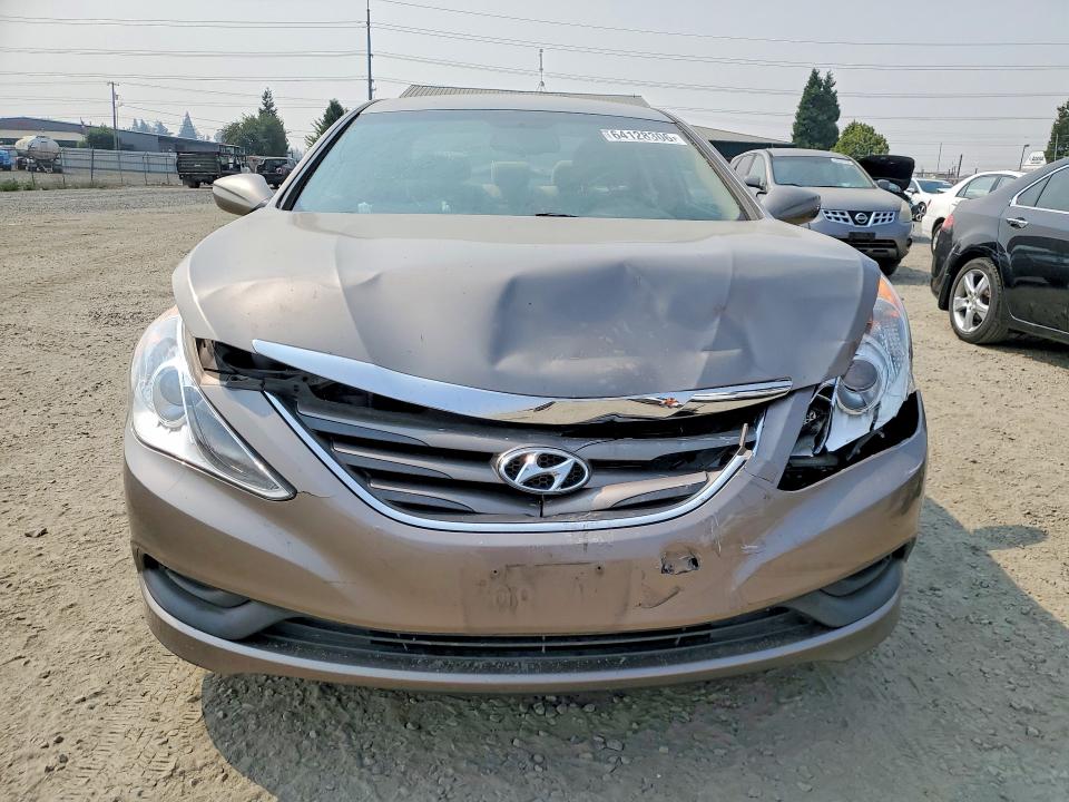 Продаж на аукціоні авто 2014 Hyundai Sonata, vin: 5NPEB4AC4EH902614, номер лоту: 64128306