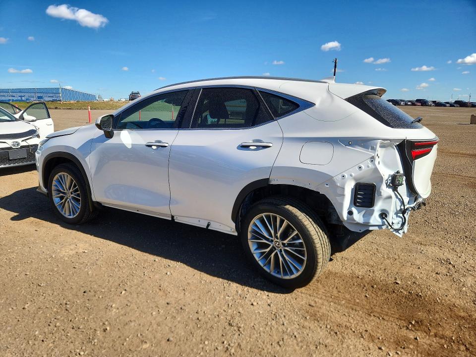 66389786 :رقم المزاد ، 2T2GKCEZXSC032721 vin ، 2025 Lexus Nx 350h مزاد بيع