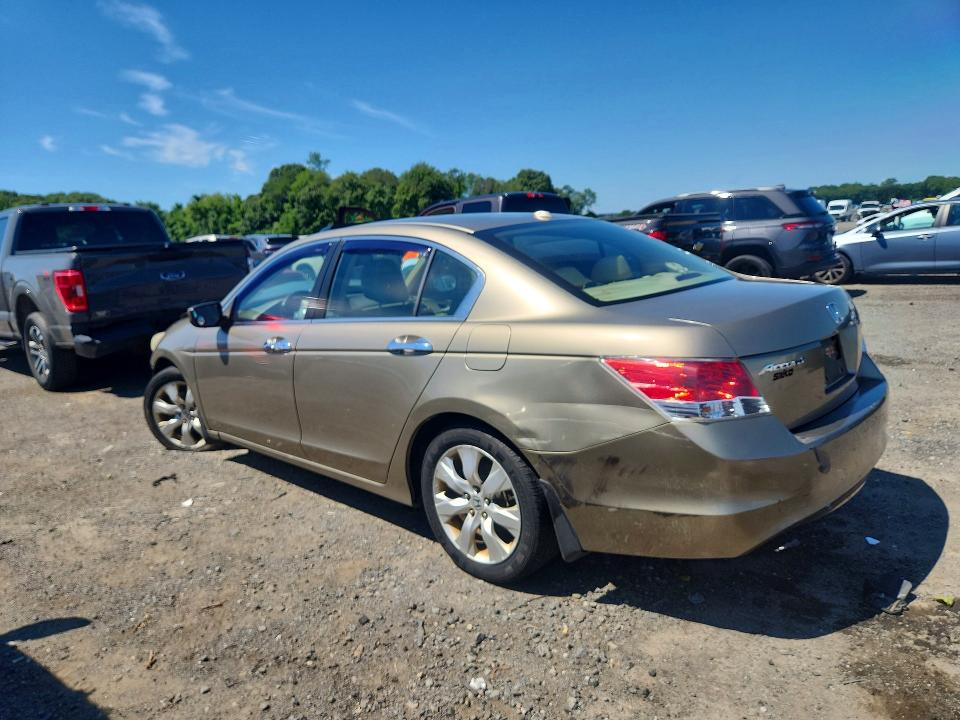 Продаж на аукціоні авто 2010 Honda Accord, vin: 5KBCP3F81AB005509, номер лоту: 63128366