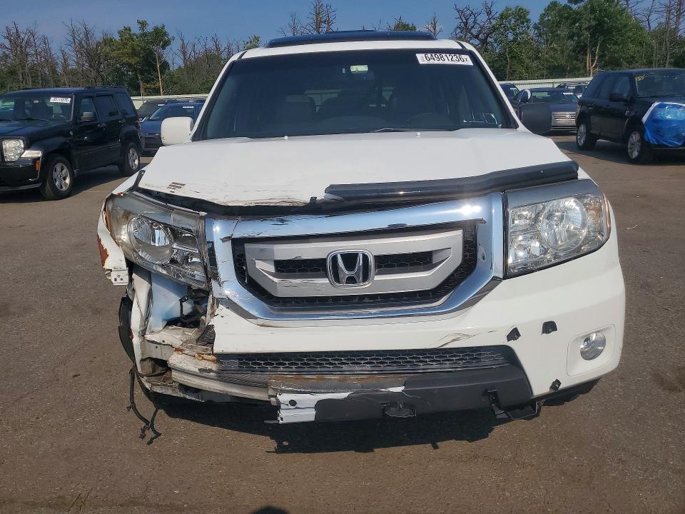 64981236 :رقم المزاد ، 5FNYF48909B050973 vin ، 2009 Honda Pilot مزاد بيع