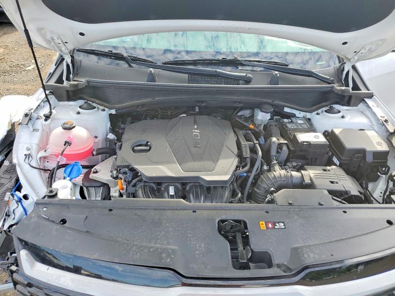 Aukcja sprzedaży 2026 Kia Sportage, vin: 5XYK5CDF1TG414218, numer aukcji: 65998256