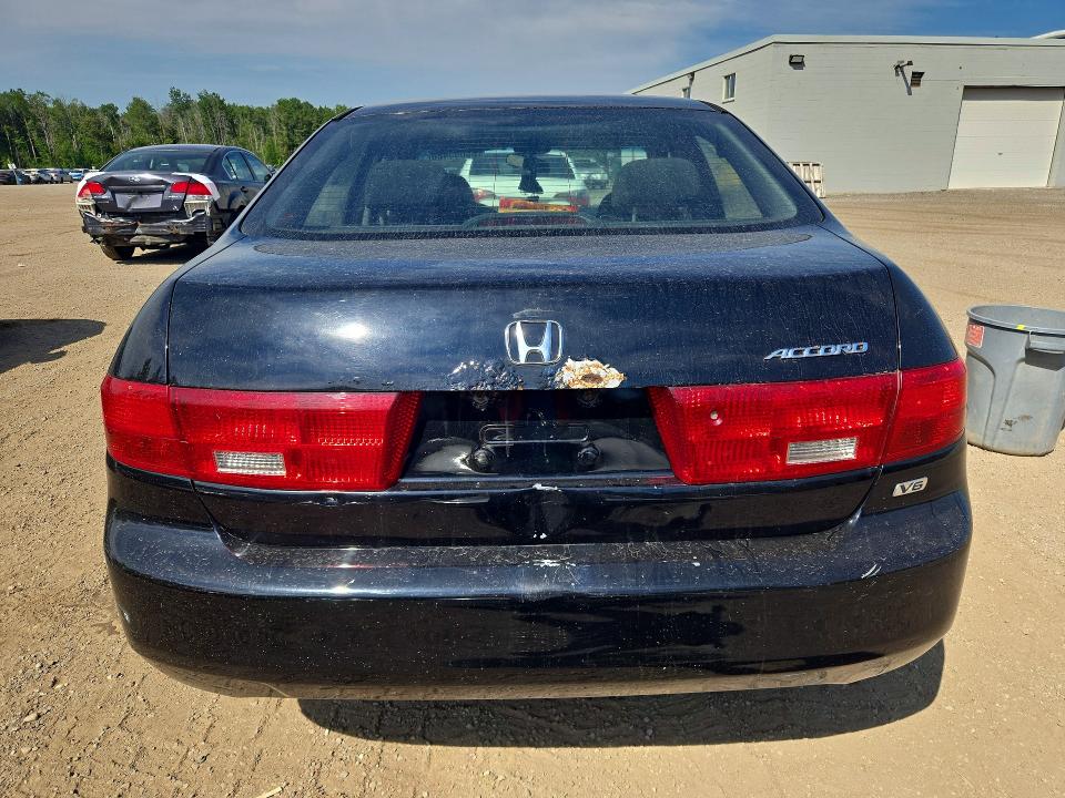 Продаж на аукціоні авто 2005 Honda Accord, vin: 1HGCM66375A800156, номер лоту: 65003486