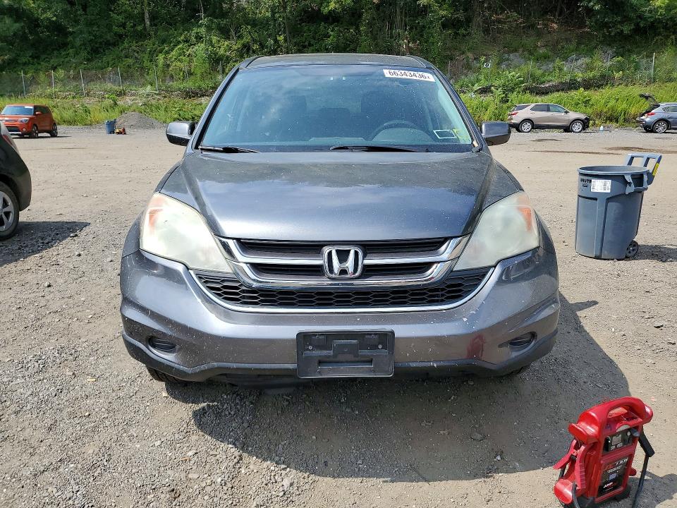Продаж на аукціоні авто 2010 Honda Cr-v, vin: 5J6RE4H76AL064037, номер лоту: 66343436