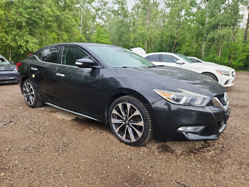 Продаж на аукціоні авто 2016 Nissan Maxima, vin: 1N4AA6AP2GC379839, номер лоту: 64084706