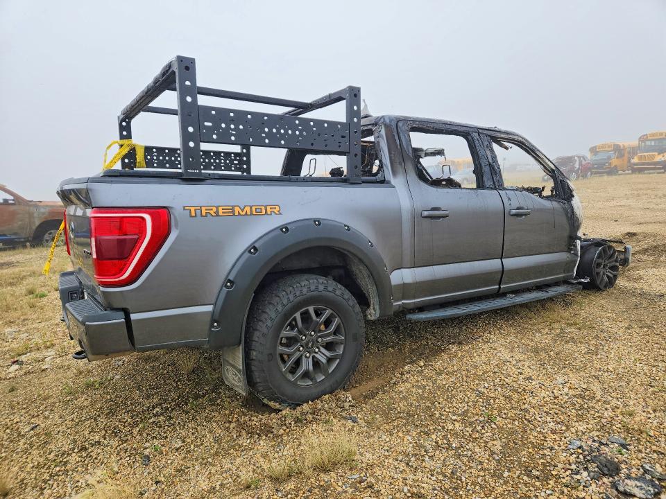 Aukcja sprzedaży 2023 Ford F150, vin: 1FTEW1E82PFC14830, numer aukcji: 64123656