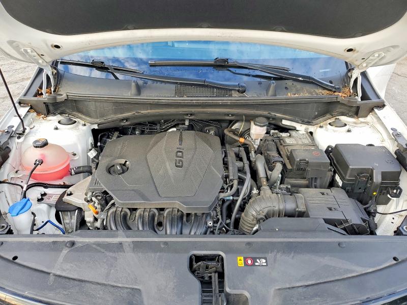 Продажа на аукционе авто 2023 Kia Sportage, vin: 5XYK5CAF2PG123561, номер лота: 63637086