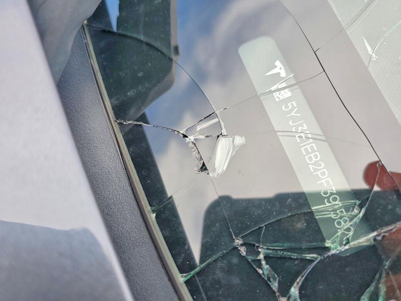 64220606 :رقم المزاد ، 5YJ3E1EB2PF391582 vin ، 2023 Tesla Model 3 مزاد بيع