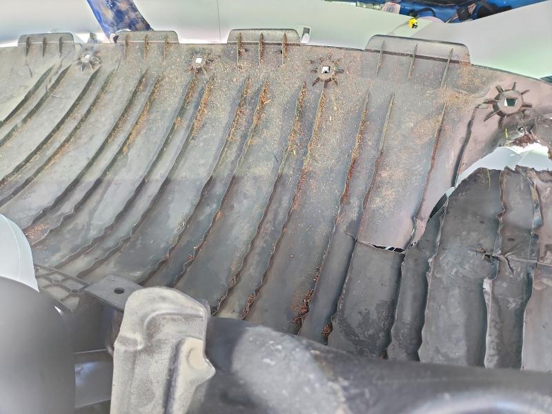 Aukcja sprzedaży 2023 Tesla Model Y, vin: 7SAYGDEE9PF626767, numer aukcji: 65774366