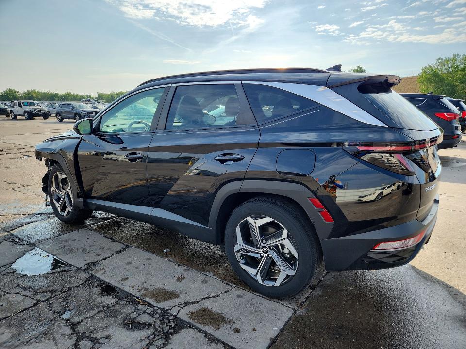 Продаж на аукціоні авто 2024 Hyundai Tucson, vin: 5NMJF3DE5RH351591, номер лоту: 64644706