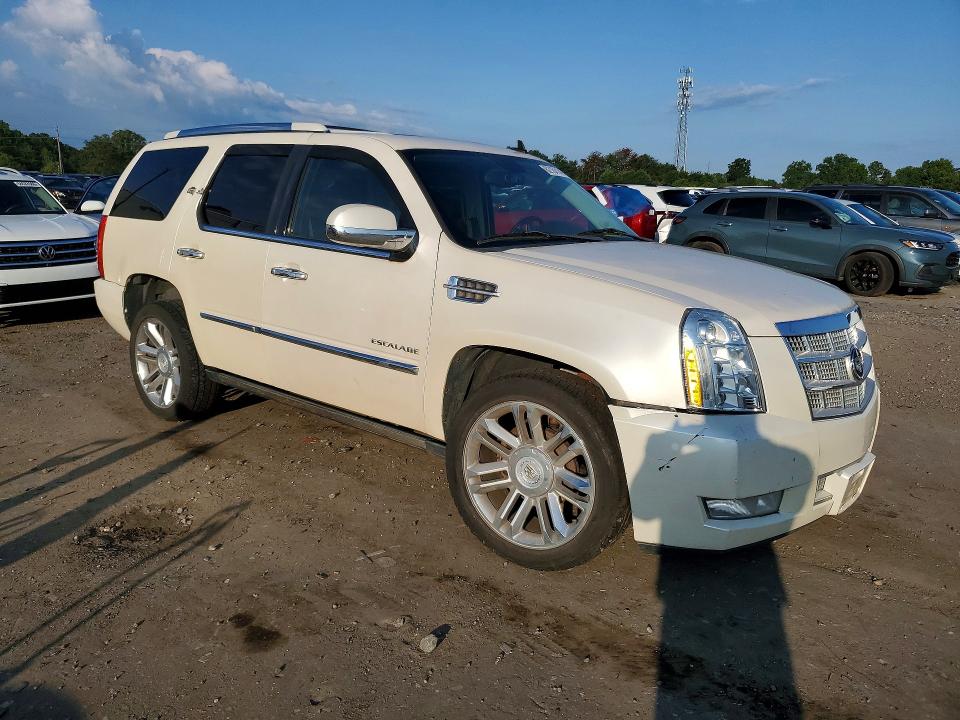 Продаж на аукціоні авто 2011 Cadillac Escalade, vin: 1GYS4DEF7BR260583, номер лоту: 62164146