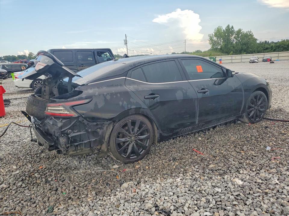 Продаж на аукціоні авто 2021 Nissan Maxima, vin: 1N4AA6EV6MC502448, номер лоту: 64281426
