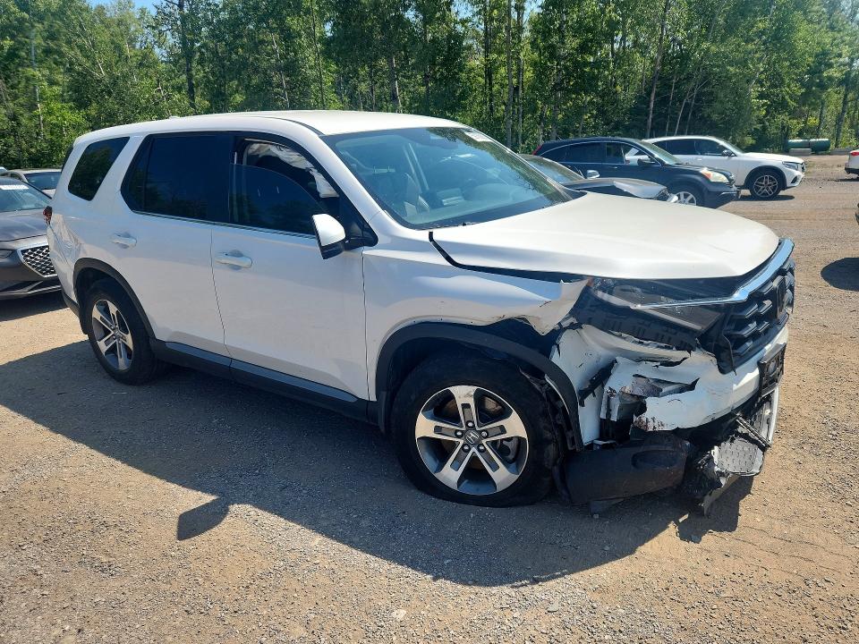 2024 Honda Pilot მანქანა იყიდება აუქციონზე, vin: 5FNYG1H46RB501940, აუქციონის ნომერი: 59136626