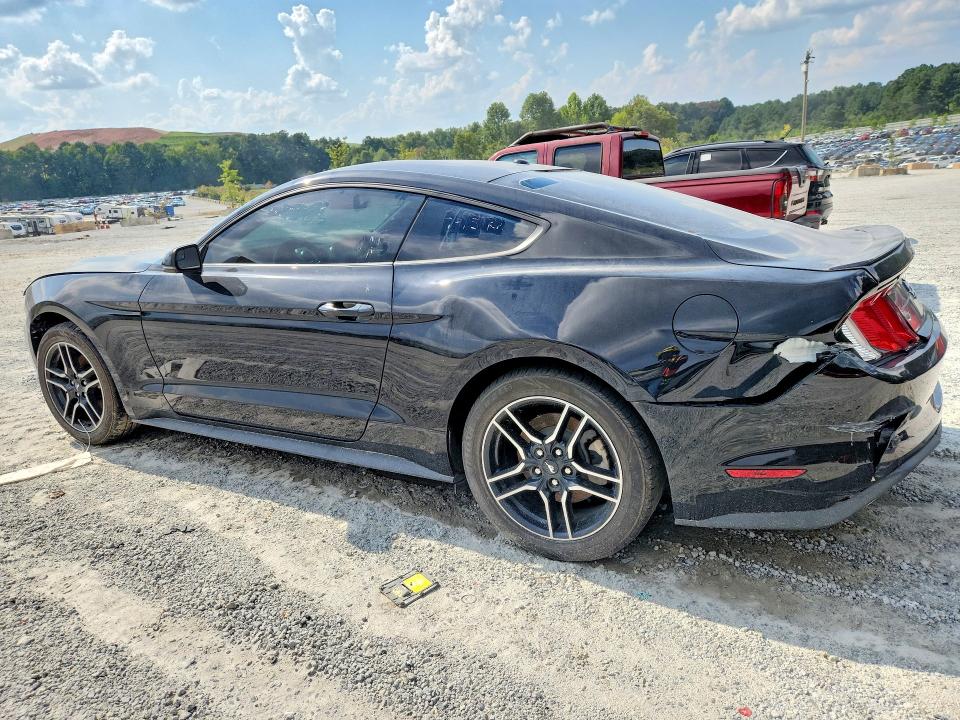 Продажа на аукционе авто 2019 Ford Mustang, vin: 1FA6P8TH8K5166641, номер лота: 66720286