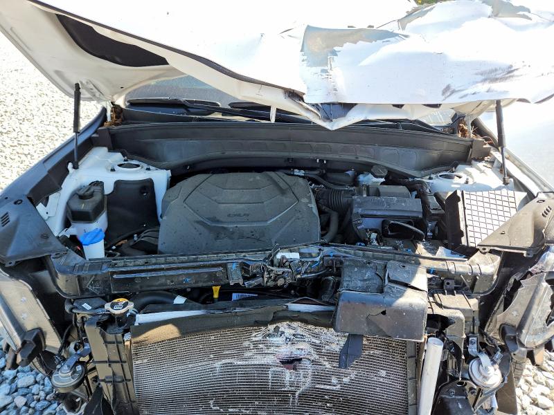 Продажа на аукционе авто 2024 Kia Telluride, vin: 5XYP5DGC6RG534649, номер лота: 65897726
