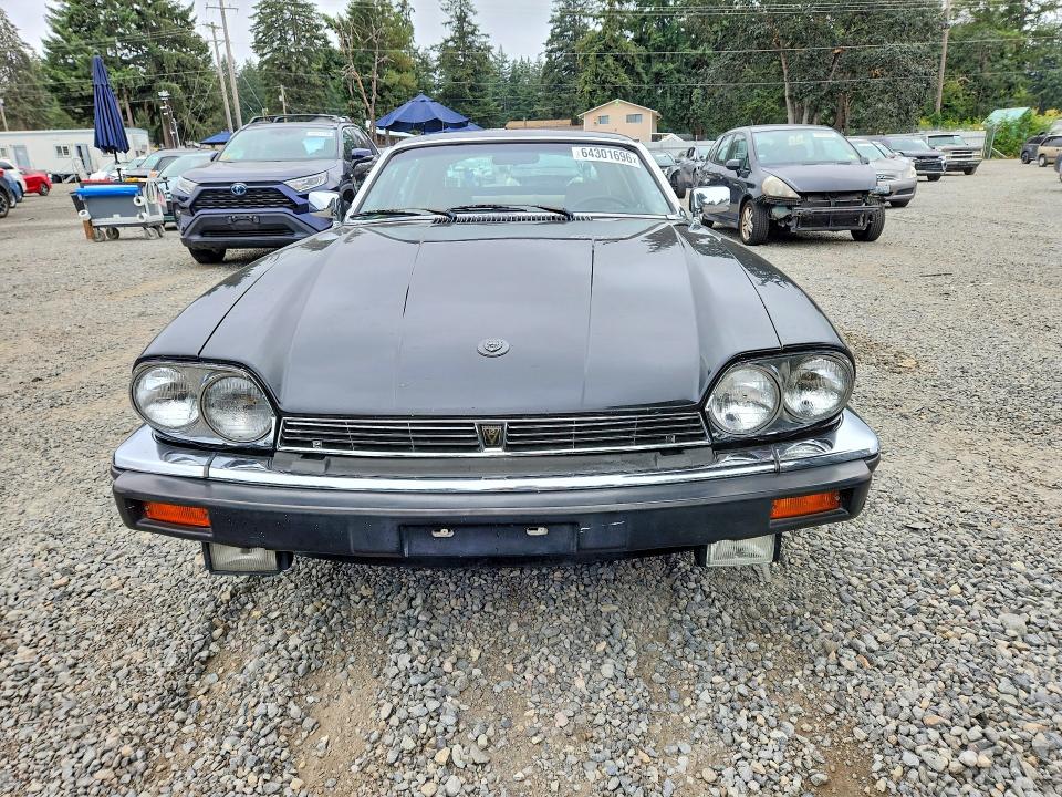 Продаж на аукціоні авто 1983 Jaguar Xjs, vin: SAJNV584XDC110152, номер лоту: 64301696