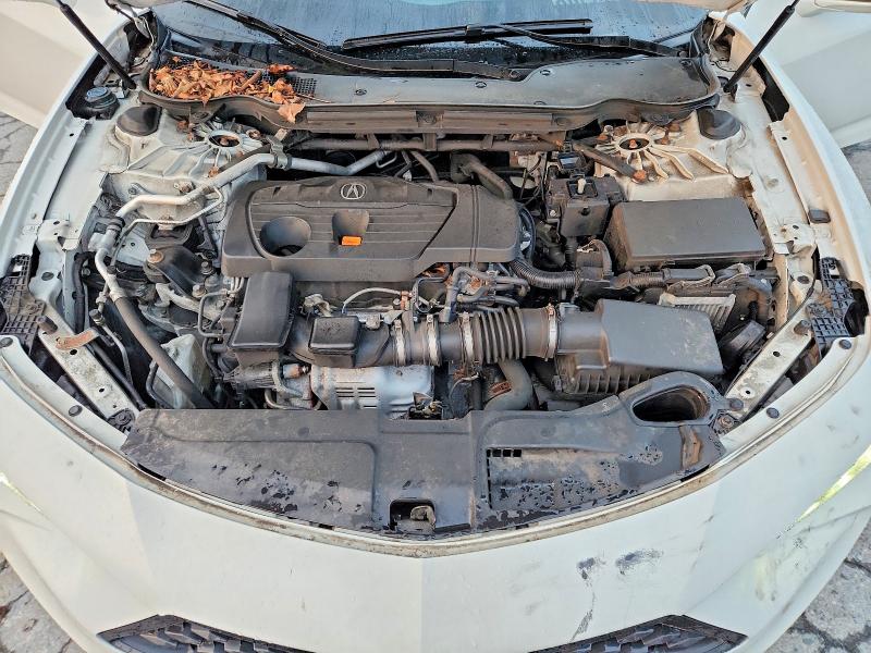 64914066 :رقم المزاد ، 19UUB6F5XMA002101 vin ، 2021 Acura Tlx مزاد بيع