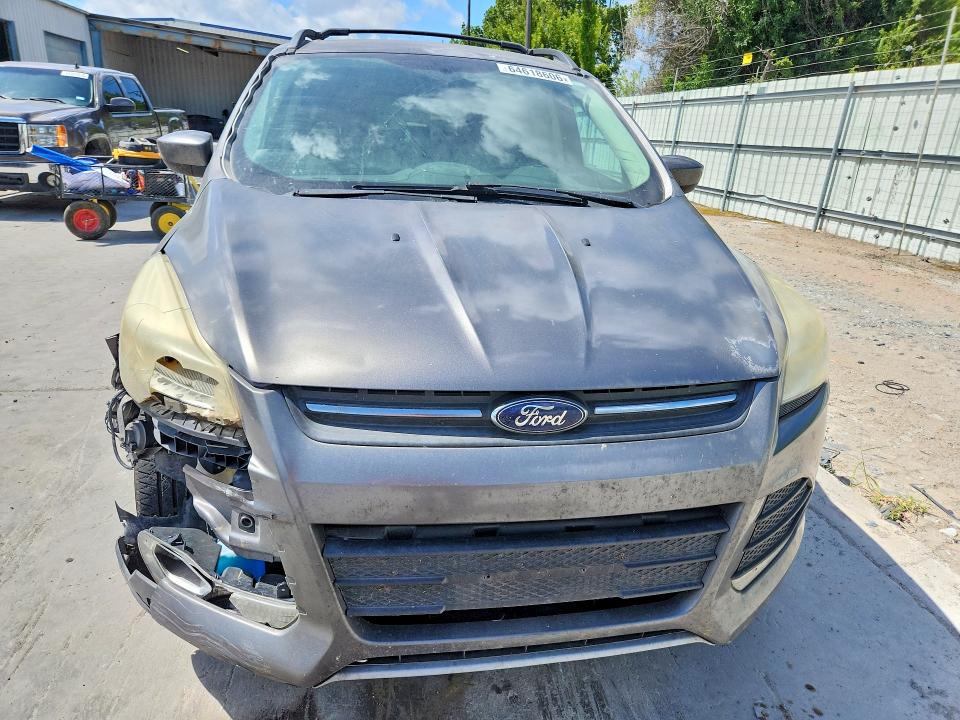64618606 :رقم المزاد ، 1FMCU0GX1DUB39259 vin ، 2013 Ford Escape مزاد بيع