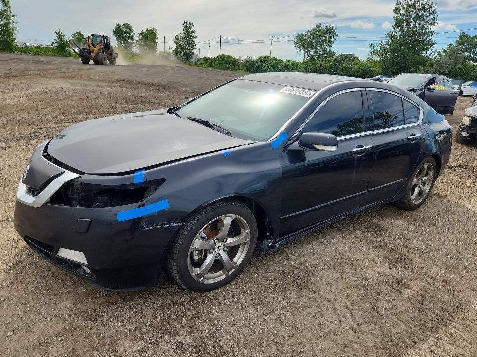 Auction sale of the 2009 Acura Tl, vin: 19UUA96579A800440, lot number: 64912326