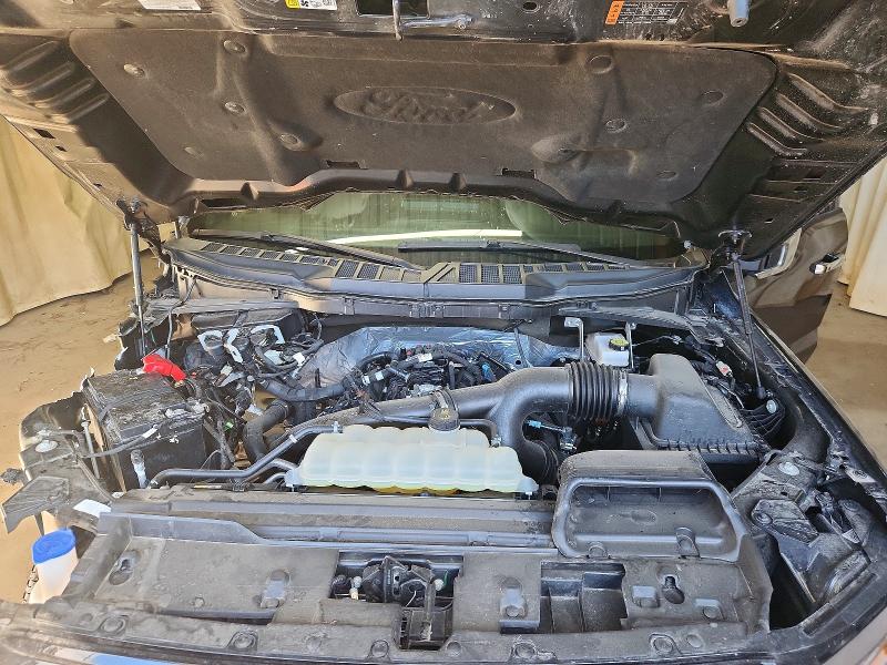 Продаж на аукціоні авто 2025 Ford F150, vin: 1FTEW3LP1SKD77619, номер лоту: 62664116