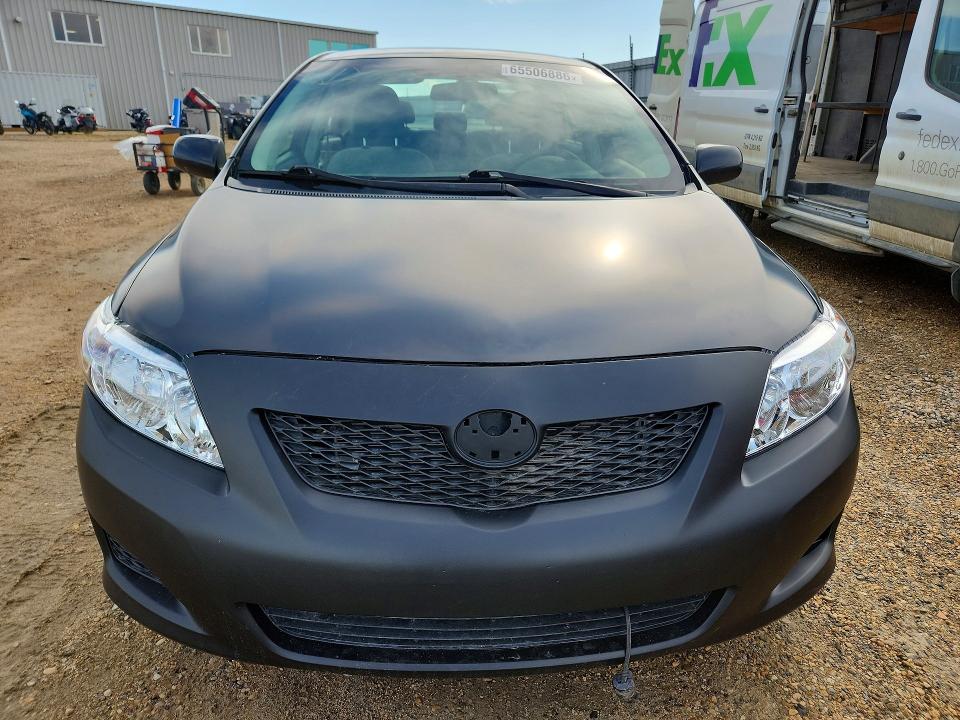 65506886 :رقم المزاد ، 2T1BU4EE2AC255202 vin ، 2010 Toyota Corolla مزاد بيع