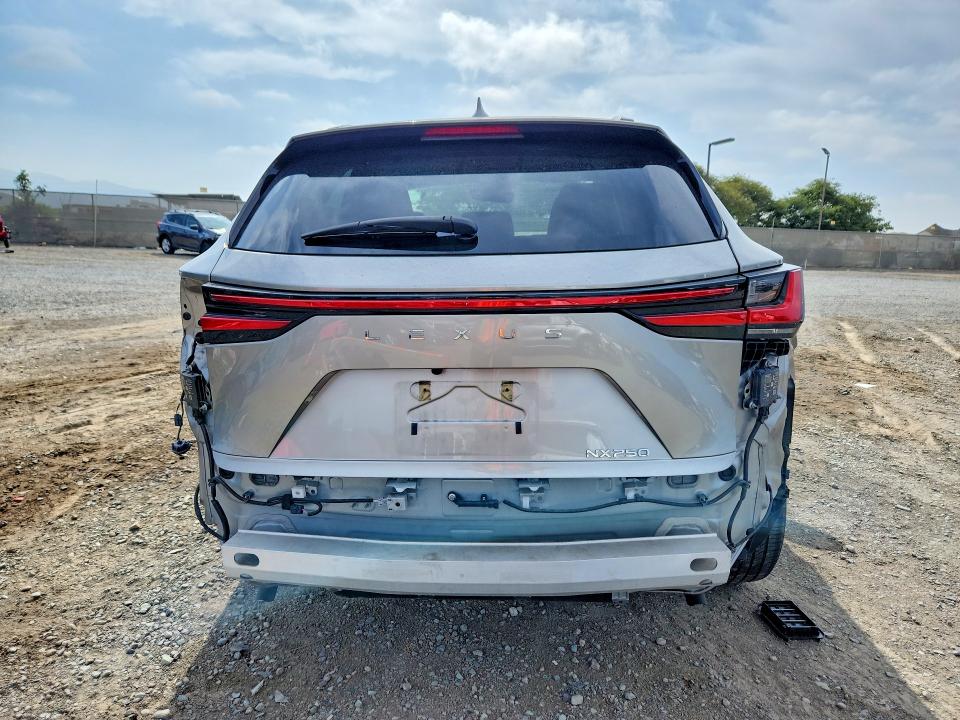 64650506 :رقم المزاد ، 2T2ADCAZ8PC003005 vin ، 2023 Lexus Nx مزاد بيع