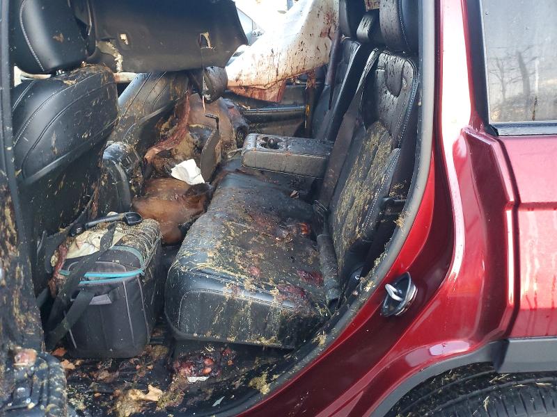 Продажа на аукционе авто 2023 Jeep Grand Cherokee, vin: 1C4RJGAG3PC557311, номер лота: 64011126
