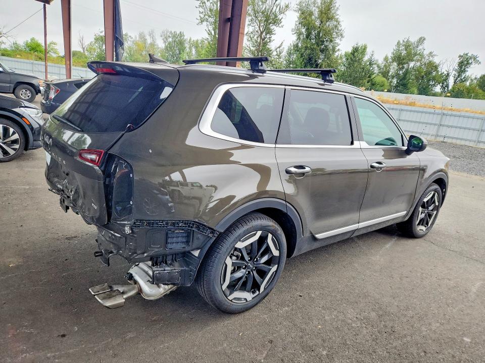 Aukcja sprzedaży 2025 Kia Telluride, vin: 5XYP6DGC6SG677054, numer aukcji: 65555626